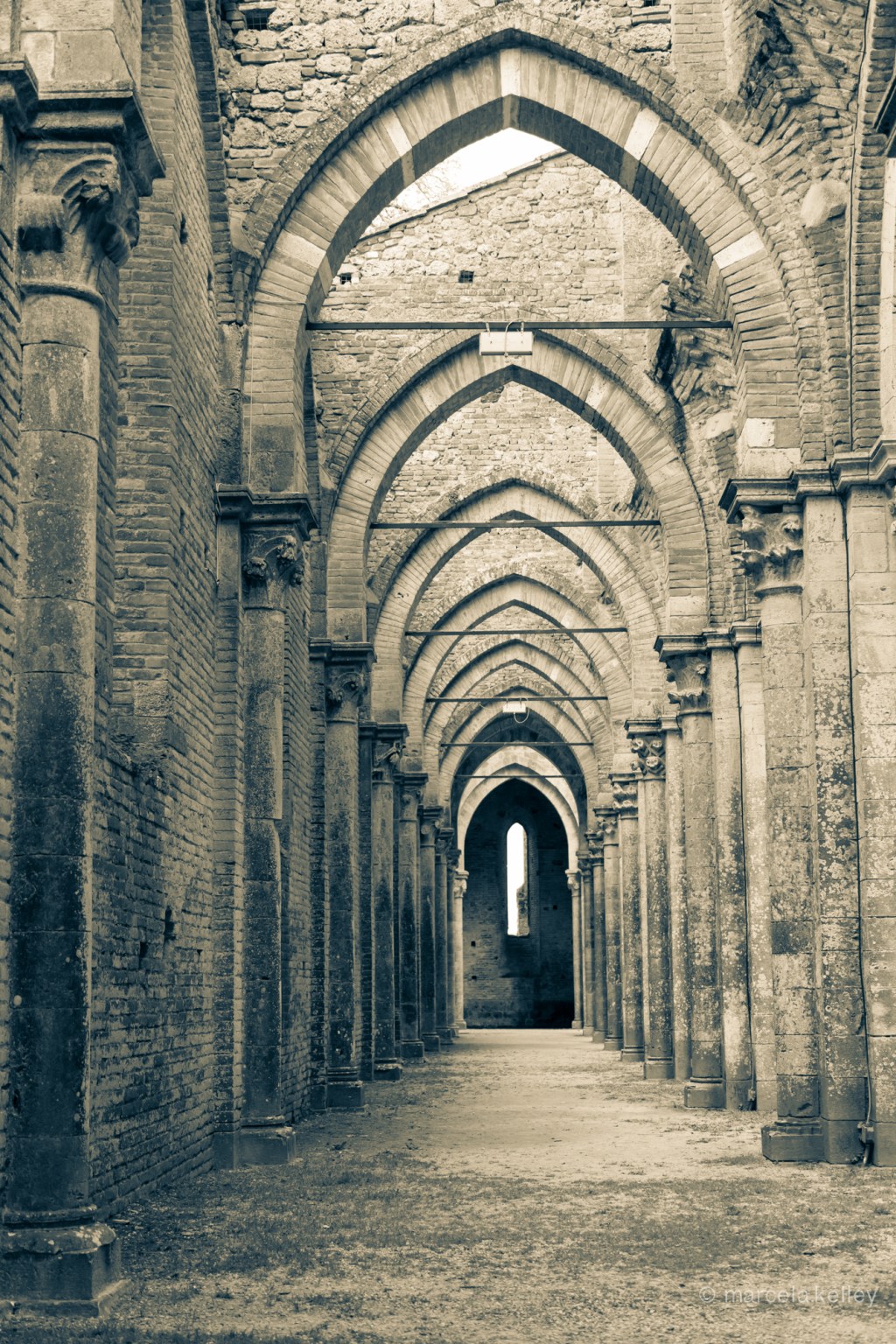 Lecturas del Domingo XXVI del Tiempo Ordinario&nbsp;(B)