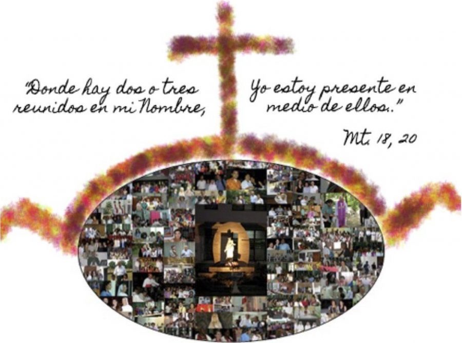 ¿Quién es el más importante en el Reino?: La reflexión del P.&nbsp;Andrés