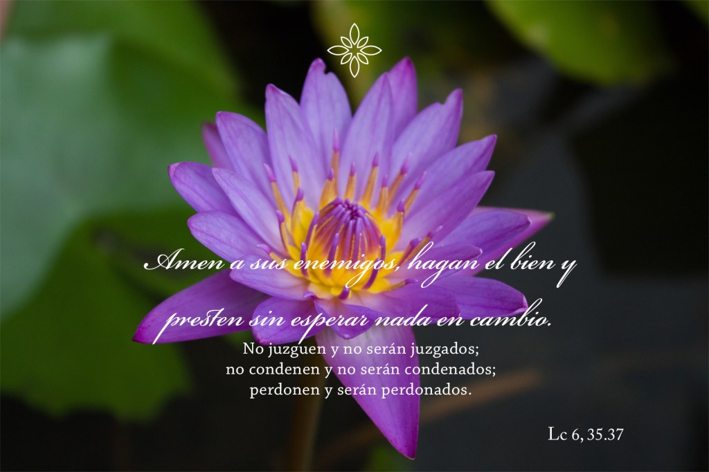 Lecturas del Domingo VII del Tiempo Ordinario (Ciclo&nbsp;C)