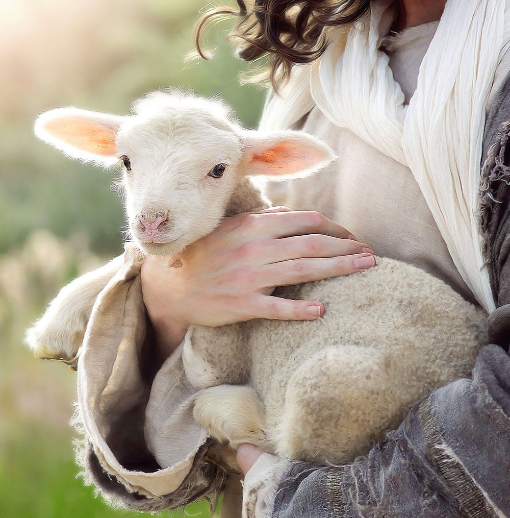 Lecturas del Domingo IV del Tiempo de Pascua (Domingo del Buen Pastor) (Ciclo&nbsp;C)
