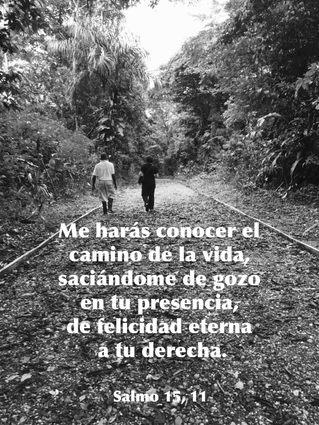 Lecturas del Domingo XIII del Tiempo Ordinario (Ciclo&nbsp;C)