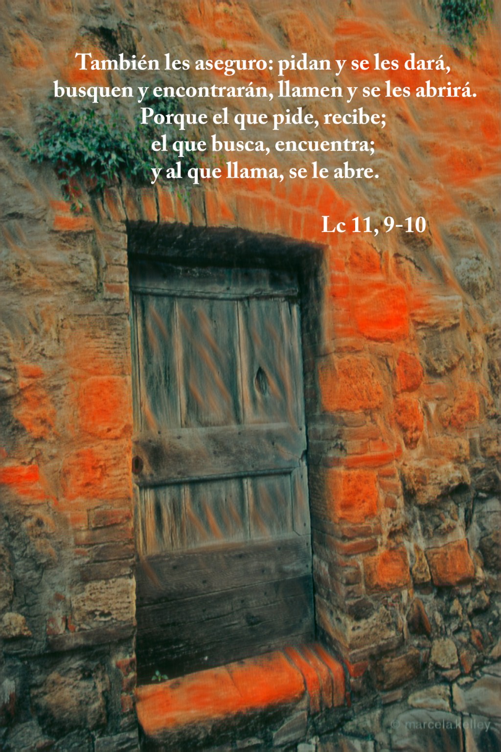 Lecturas del Domingo XVII del Tiempo Ordinario (Ciclo&nbsp;C)