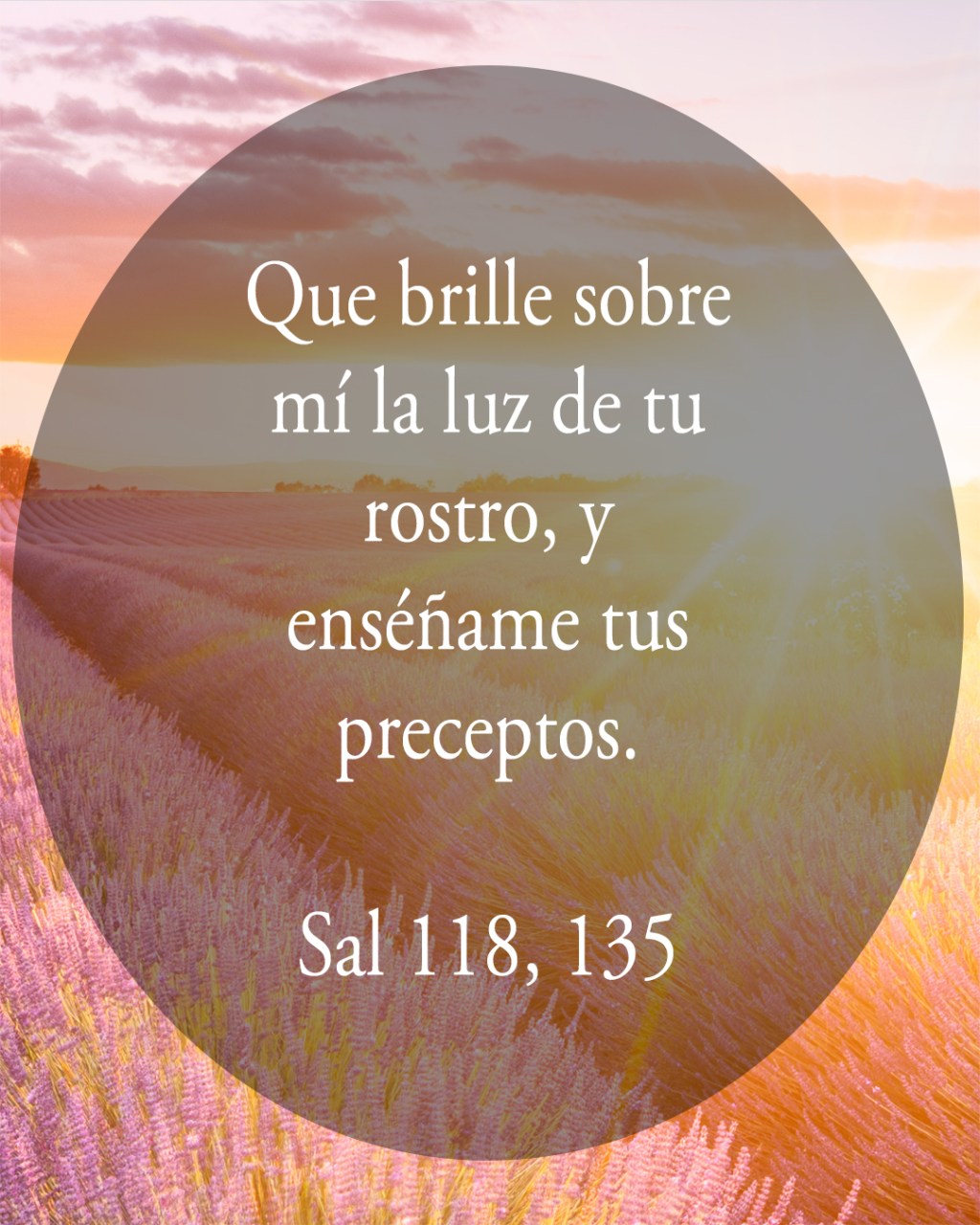 Lecturas del Domingo XXIII del Tiempo Ordinario (Ciclo&nbsp;C)