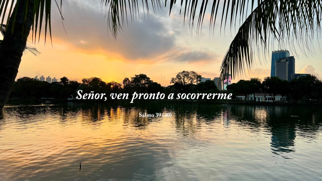 Lecturas del Domingo XX del Tiempo Ordinario (Ciclo&nbsp;C)