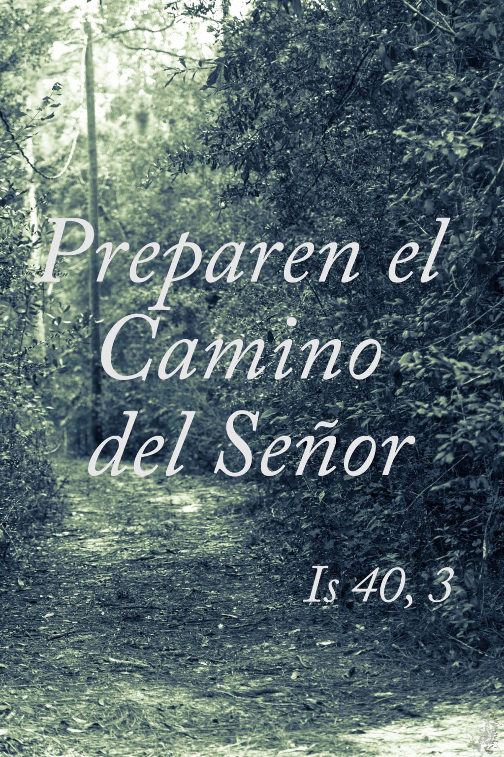 Lecturas del Domingo II del Tiempo de Adviento (Ciclo&nbsp;A)