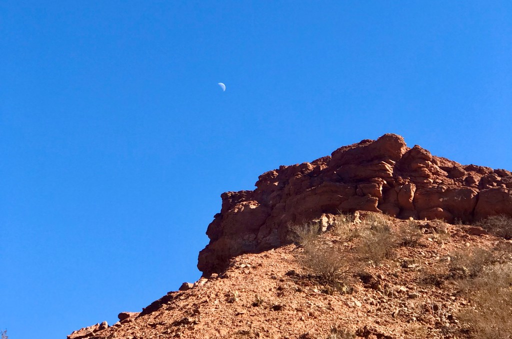 Lecturas del Domingo I del Tiempo de Cuaresma (Ciclo&nbsp;A)
