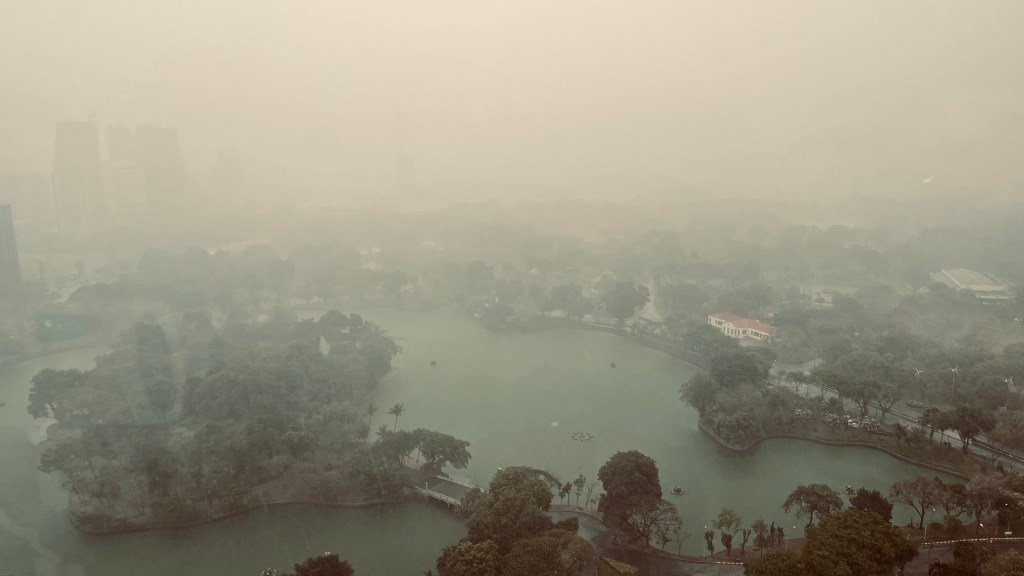 Lecturas del Domingo VII del Tiempo Ordinario (Ciclo&nbsp;A)