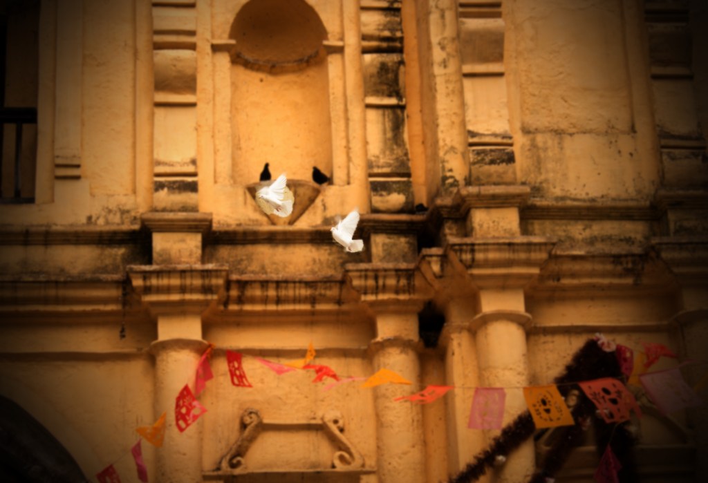 Lecturas del Domingo VI del Tiempo de Pascua (Ciclo&nbsp;A)