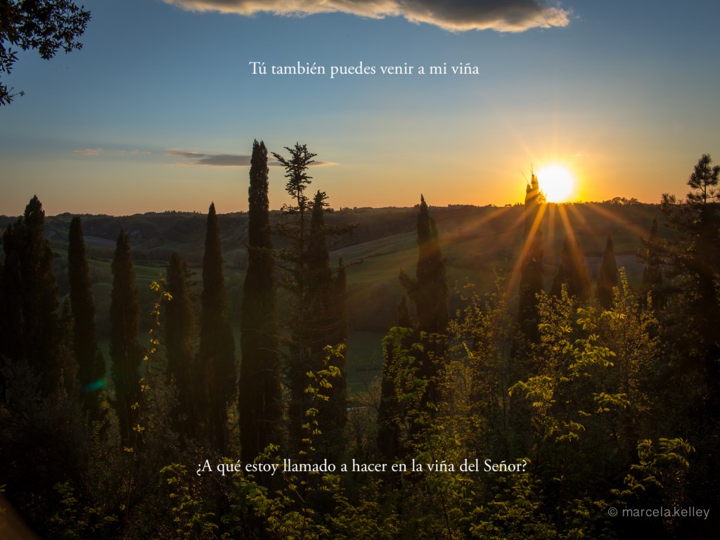 Lecturas del Domingo XXV del Tiempo Ordinario (Ciclo&nbsp;A)