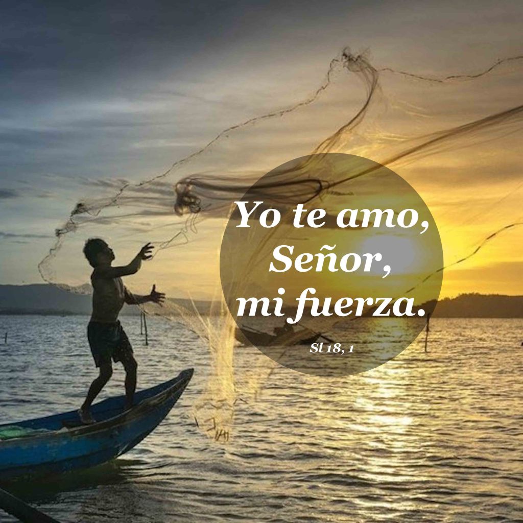 Lecturas del Domingo XXX del Tiempo Ordinario (Ciclo&nbsp;A)