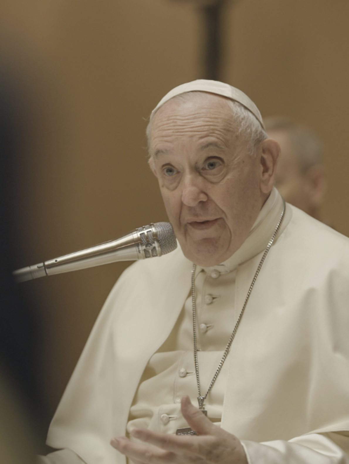 Papa Francisco: Serie de Catequesis ~ Vicios y Virtudes (Finalizada)
