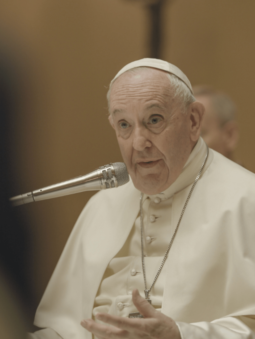 Papa Francisco: Serie de Catequesis ~ Vicios y Virtudes&nbsp;(Finalizada)