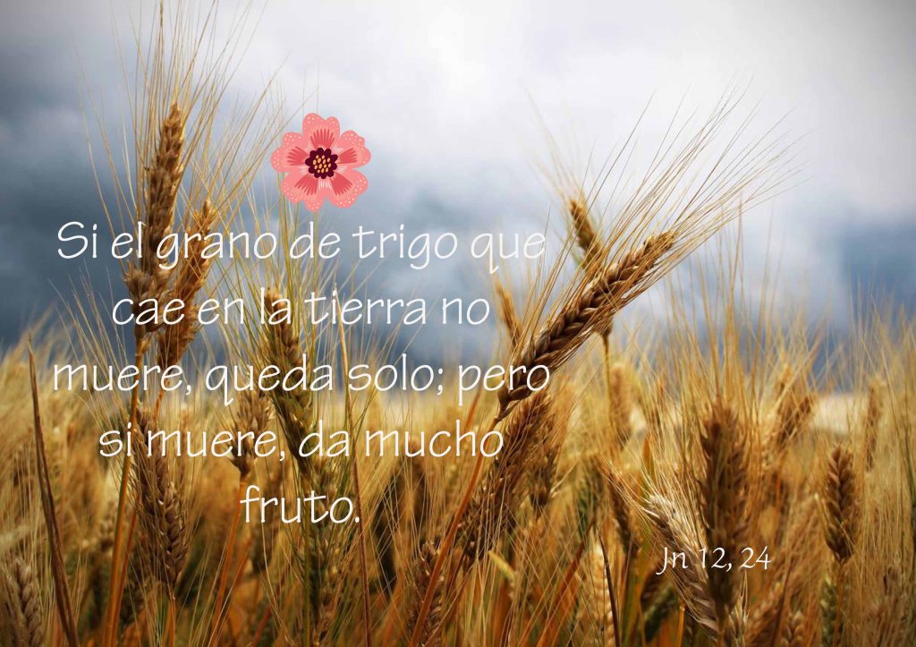 Lecturas del Domingo V del Tiempo de Cuaresma (Ciclo ‘B’, 2024)