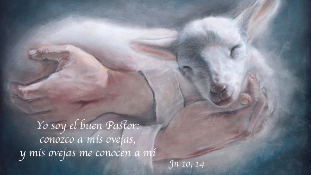 Lecturas del Domingo IV del Tiempo de Pascua (Ciclo ‘B’, 2024) ~ «Domingo del Buen&nbsp;Pastor»