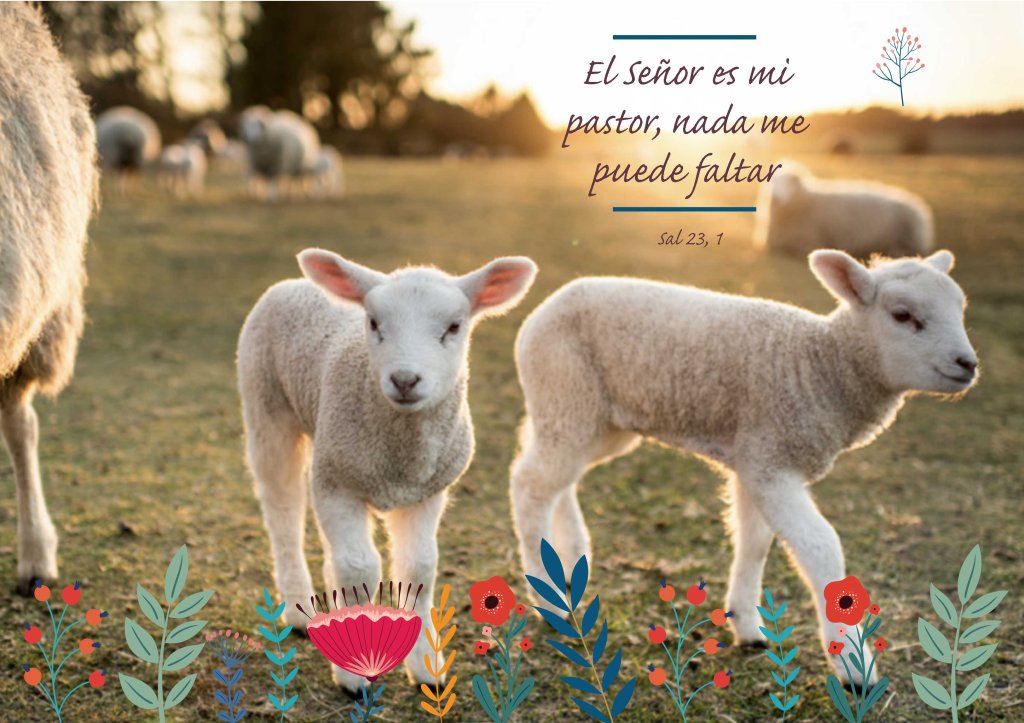 Lecturas del Domingo XVI del Tiempo Ordinario (Ciclo ‘B’, 2024)