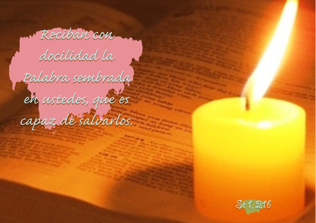 Lecturas del Domingo XXII del Tiempo Ordinario (Ciclo ‘B’, 2024)