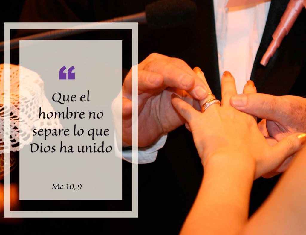 Lecturas del Domingo XXVII del Tiempo Ordinario (Ciclo ‘B’, 2024)