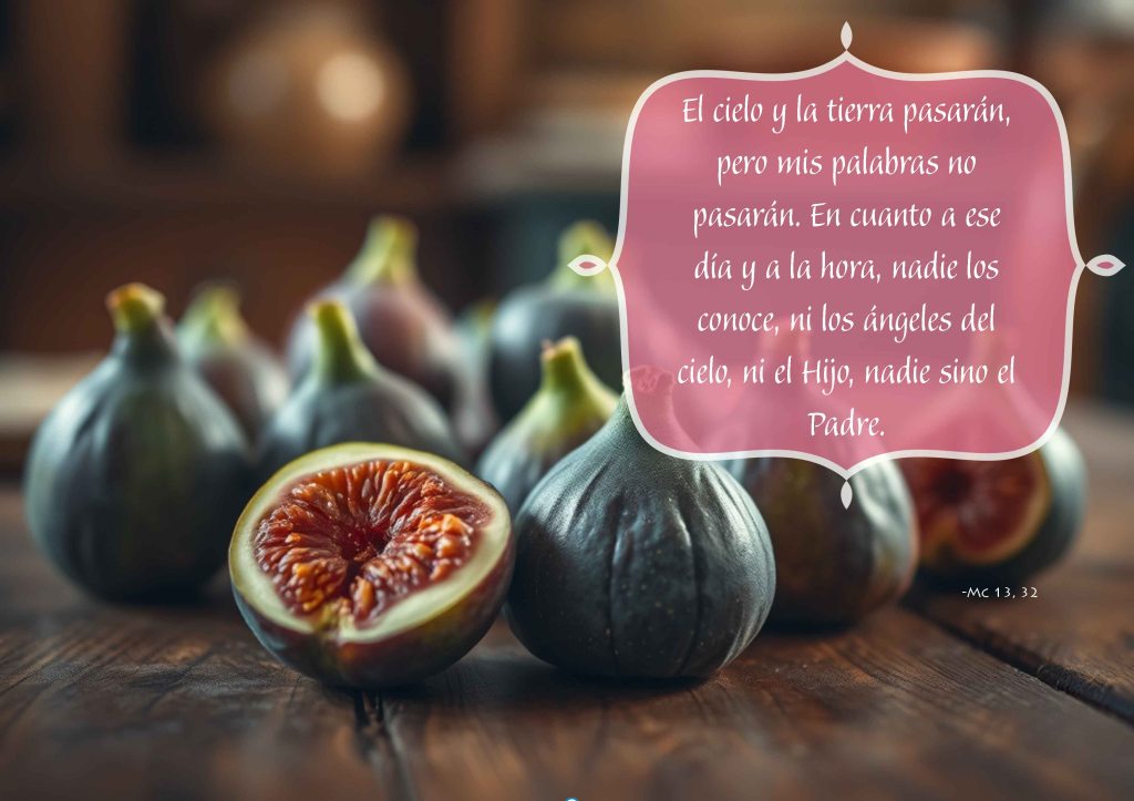 Lecturas del Domingo XXXIII del Tiempo Ordinario (Ciclo ‘B’, 2024)