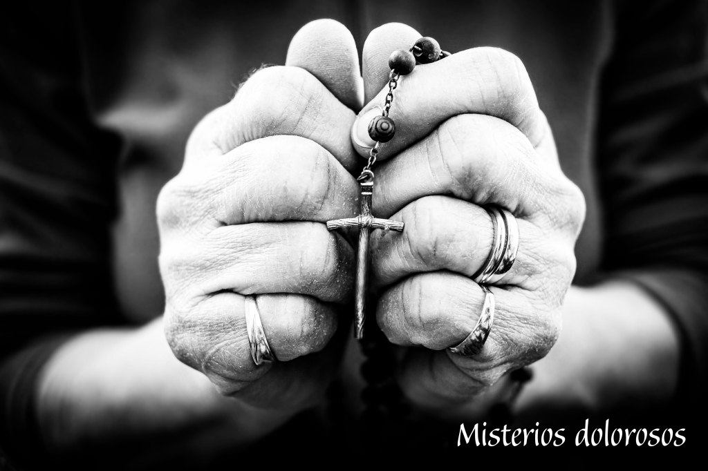 El Santo Rosario con meditaciones del Papa Francisco ~   Misterios Dolorosos&nbsp;(mar/vie)