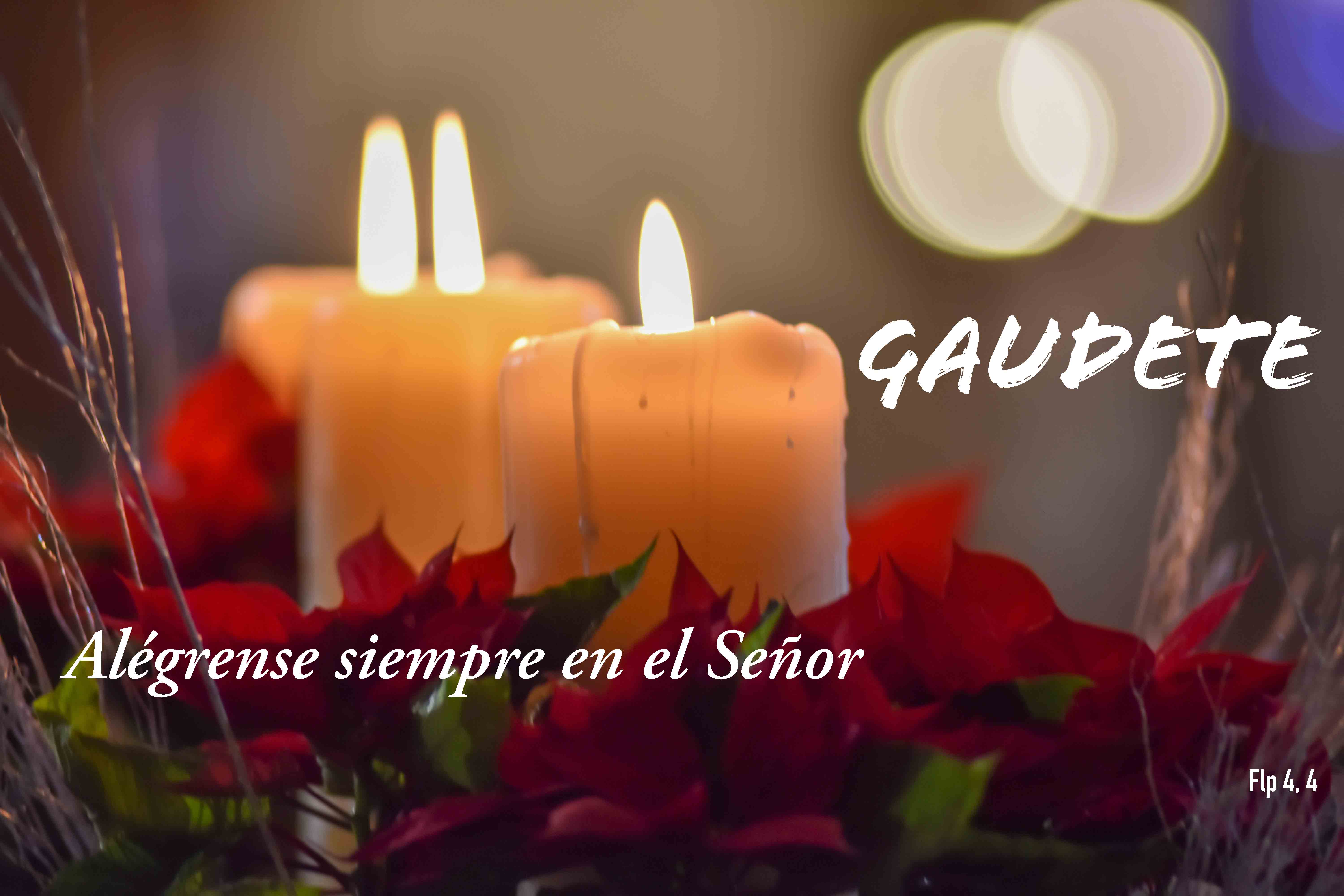Lecturas del Domingo III del Tiempo de Adviento (Domingo de Gaudete) (Ciclo ‘C’, 2024)