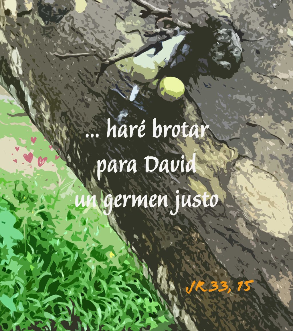 Lecturas del Domingo I del Tiempo de Adviento (Ciclo ‘C’, 2024)