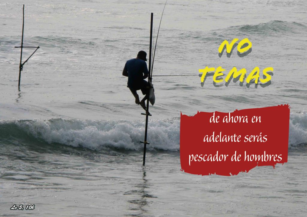 Lecturas del Domingo V del Tiempo Ordinario (Ciclo ‘C’, 2025)