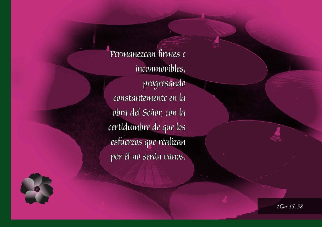 Lecturas del Domingo VIII del Tiempo Ordinario (Ciclo ‘C’, 2025)