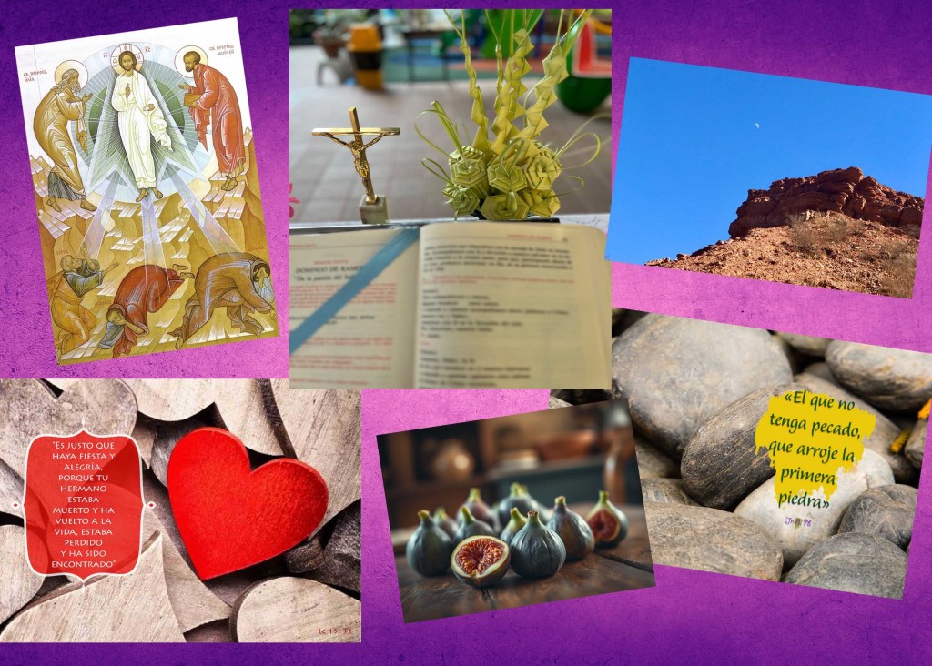 Reflexiones del Papa Francisco para vivir la Cuaresma (actualizado) (Ciclo ‘C’, 2025)