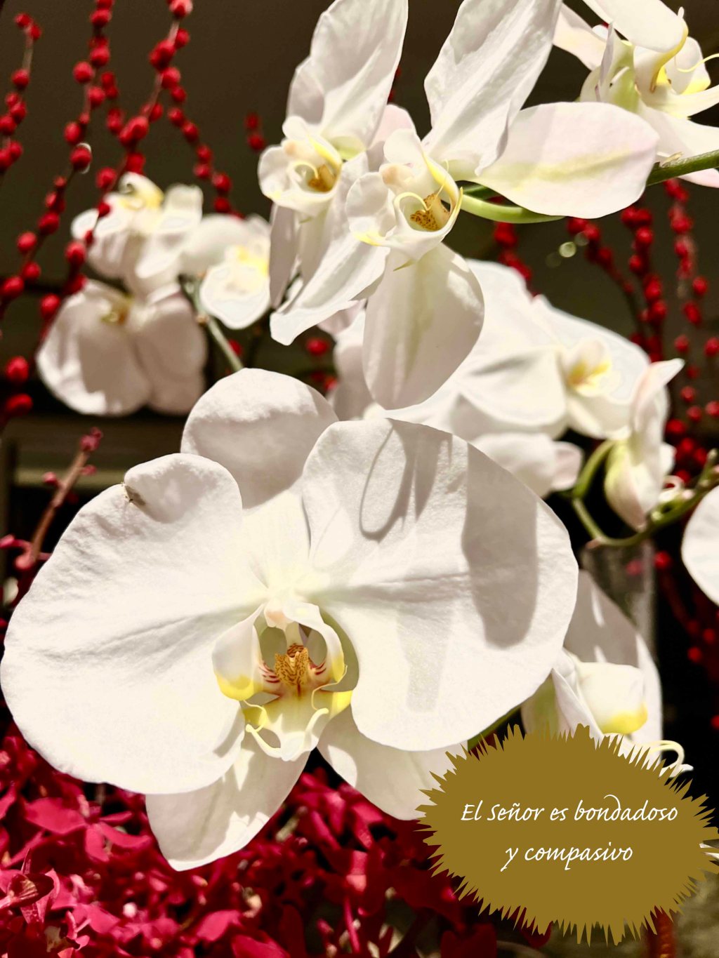 Lecturas del Domingo VII del Tiempo Ordinario (Ciclo ‘C’, 2025)