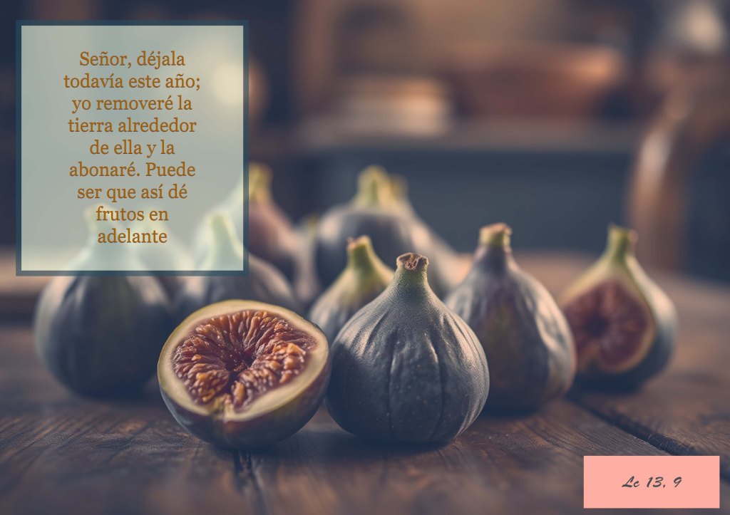 Lecturas del Domingo III del Tiempo de Cuaresma (Ciclo ‘C’, 2025)