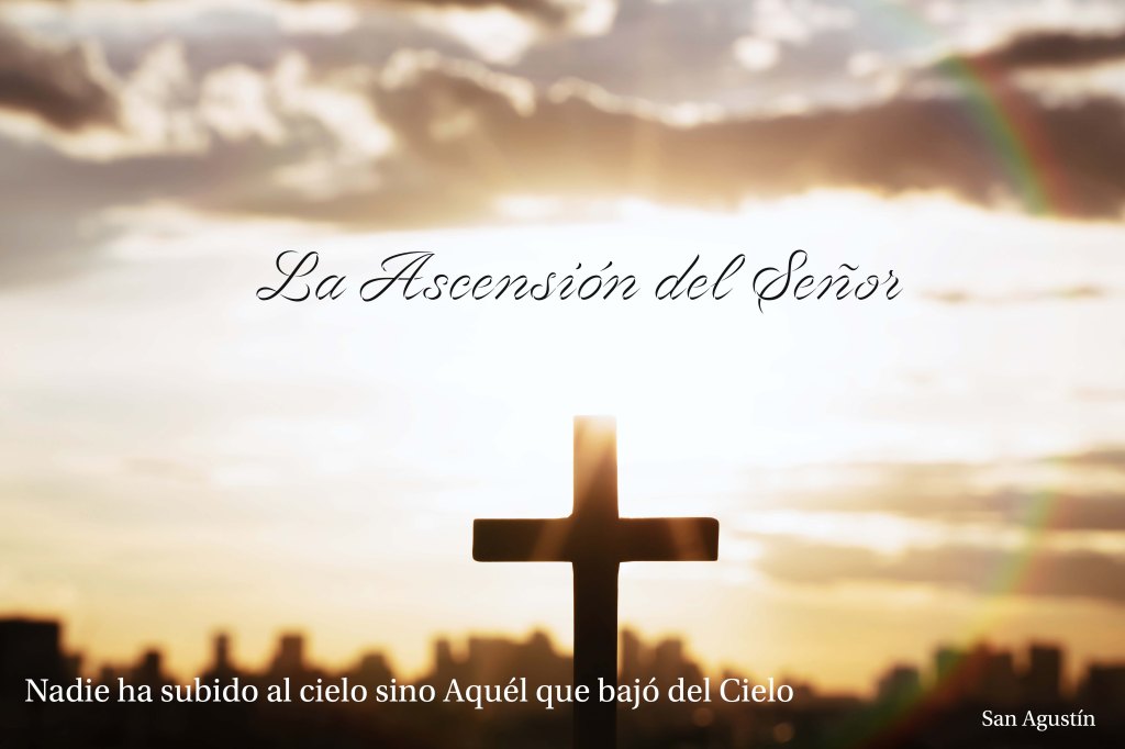 Lecturas del Domingo de la Ascensión del Señor (S) (Ciclo ‘C’, 2025)