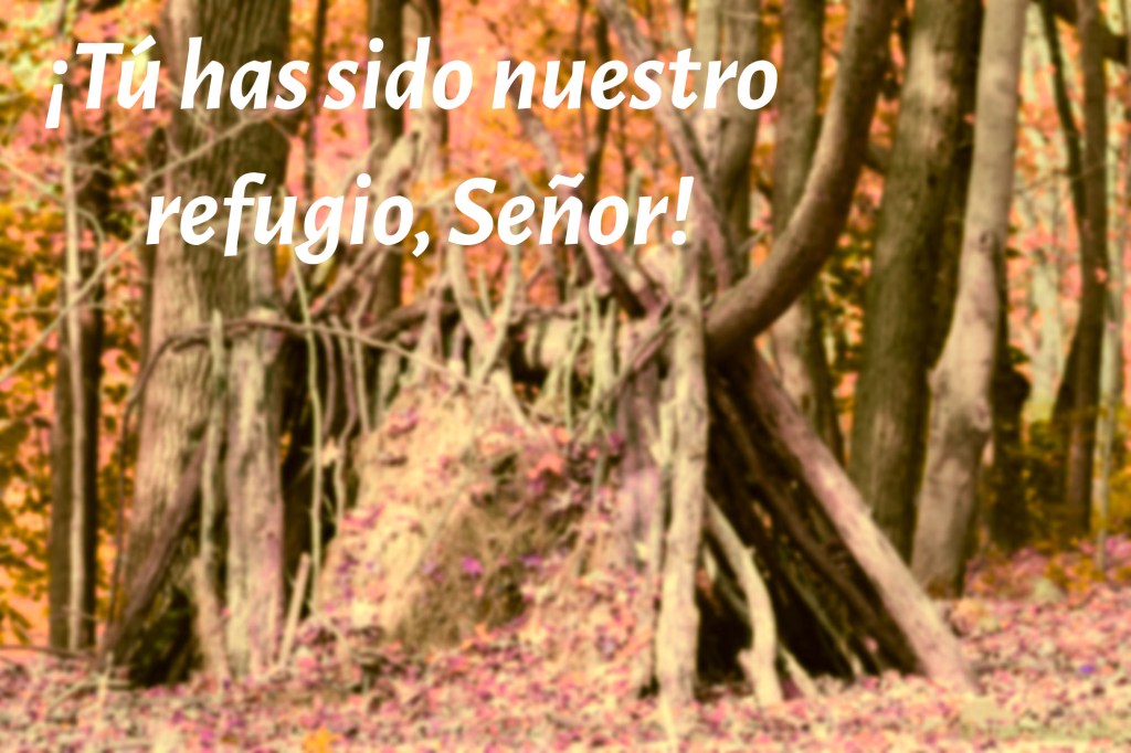 Lecturas del Domingo XVIII del Tiempo Ordinario (Ciclo ‘C’, 2025)