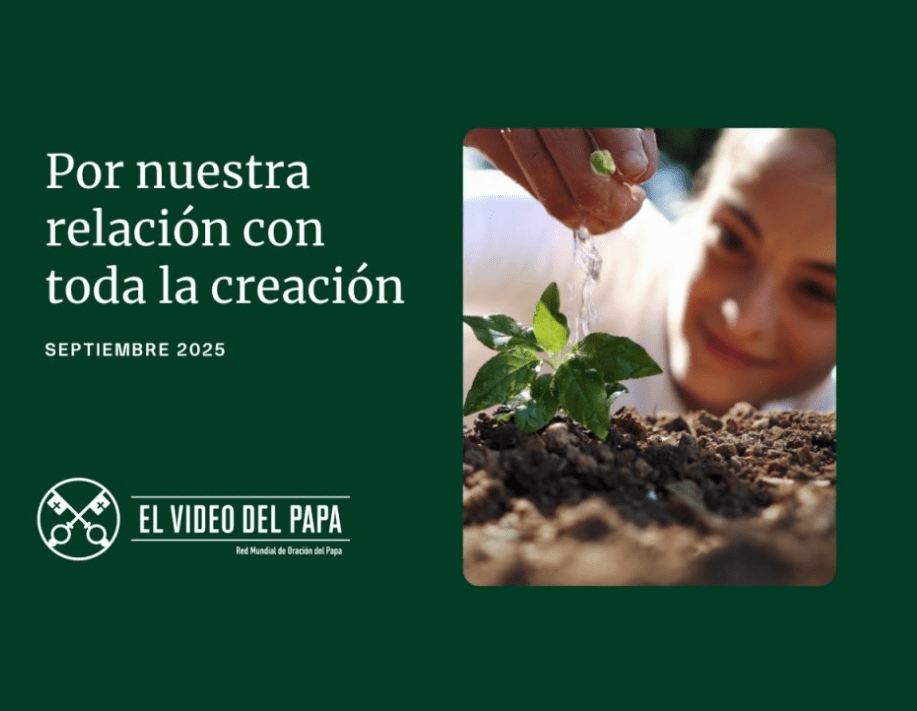 Intención de Oración Universal ~ septiembre 2025, por nuestra relación con toda la&nbsp;creación