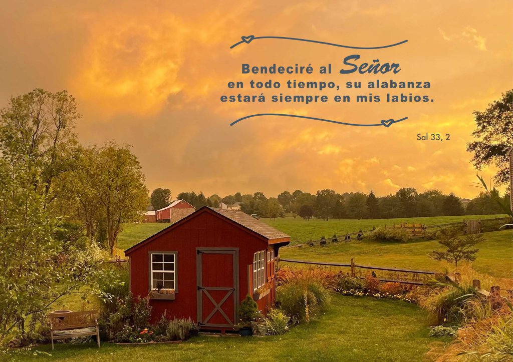 Lecturas del Domingo XXX del Tiempo Ordinario (Ciclo ‘C’, 2025)