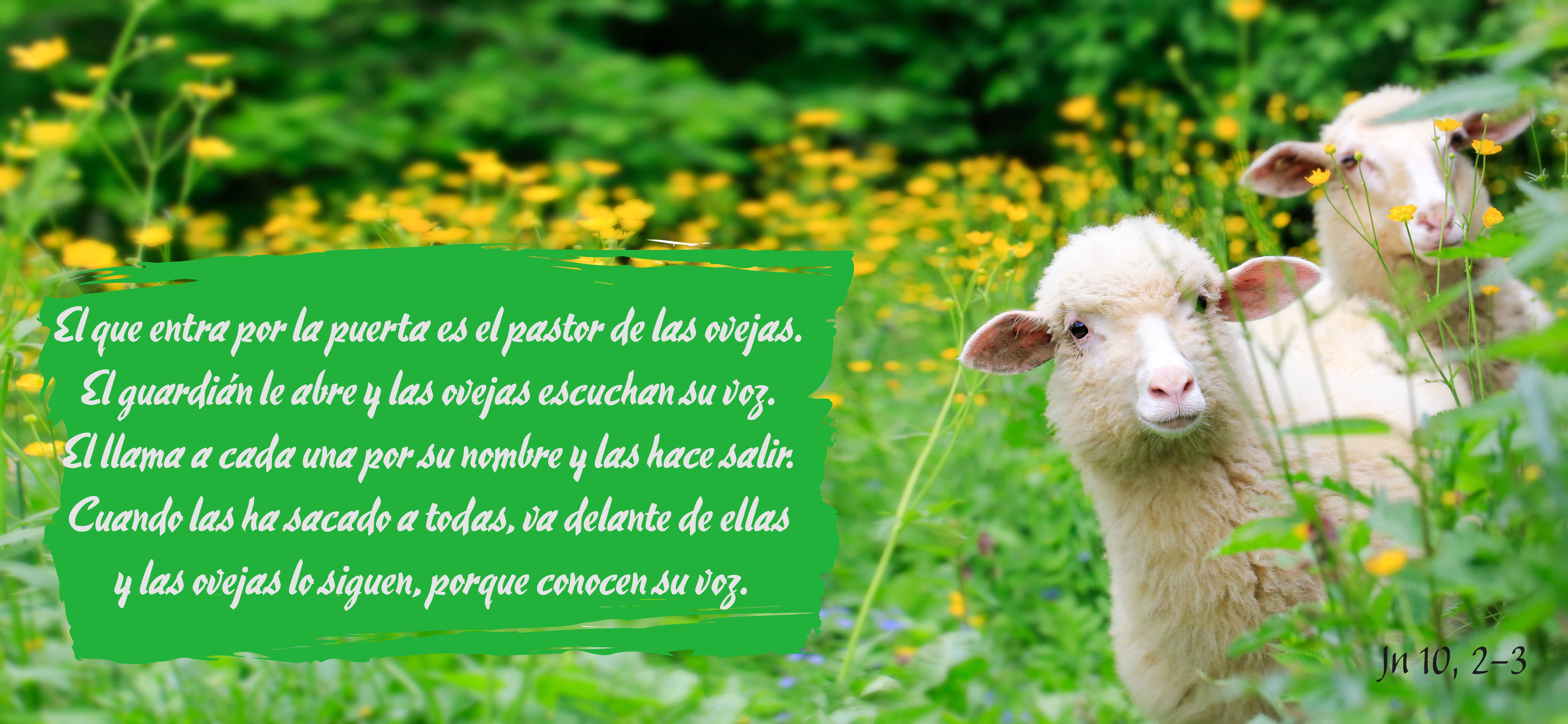 Lecturas del Domingo IV del Tiempo de Pascua ~ Domingo del Buen Pastor (Ciclo ‘A’, 2026)