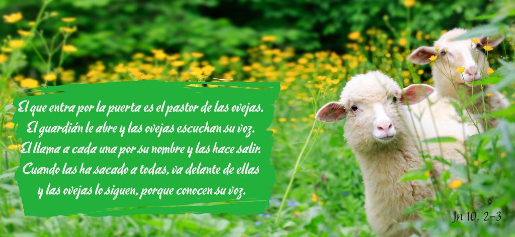 Lecturas del Domingo IV del Tiempo de Pascua ~ Domingo del Buen Pastor (Ciclo ‘A’, 2026)