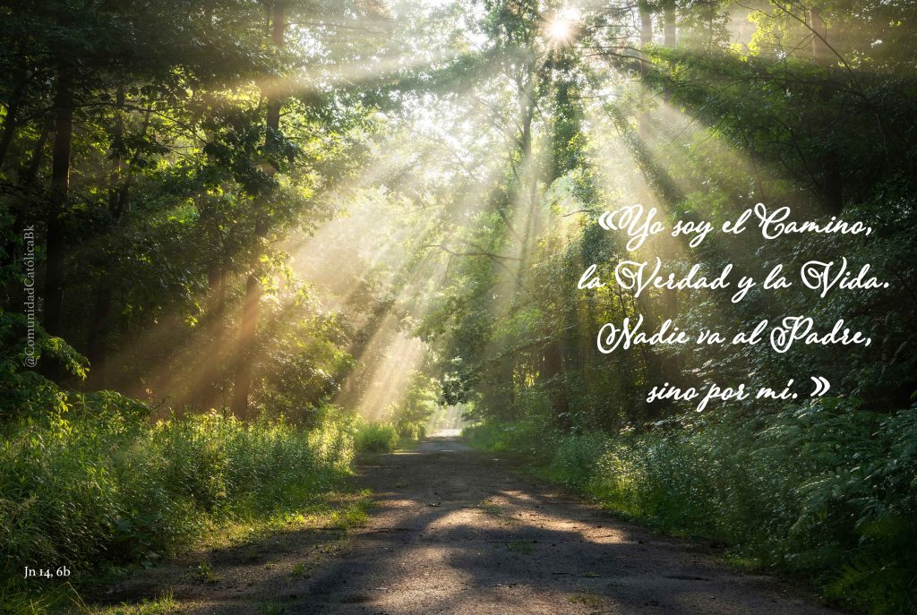 Lecturas del Domingo V del Tiempo de Pascua (Ciclo ‘A’, 2026)