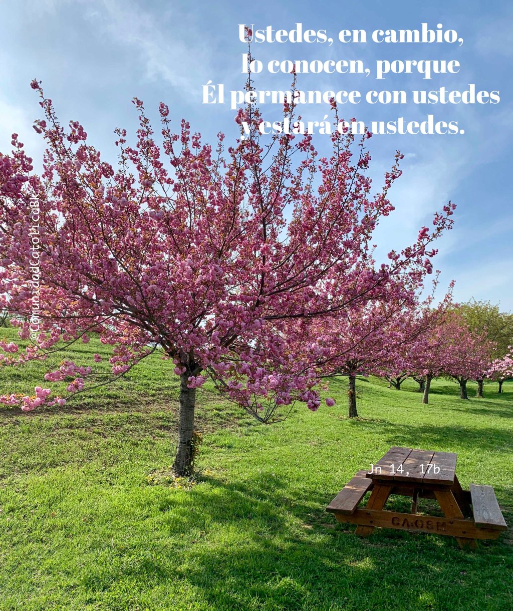 Lecturas del Domingo VI del Tiempo de Pascua (Ciclo ‘A’, 2026)