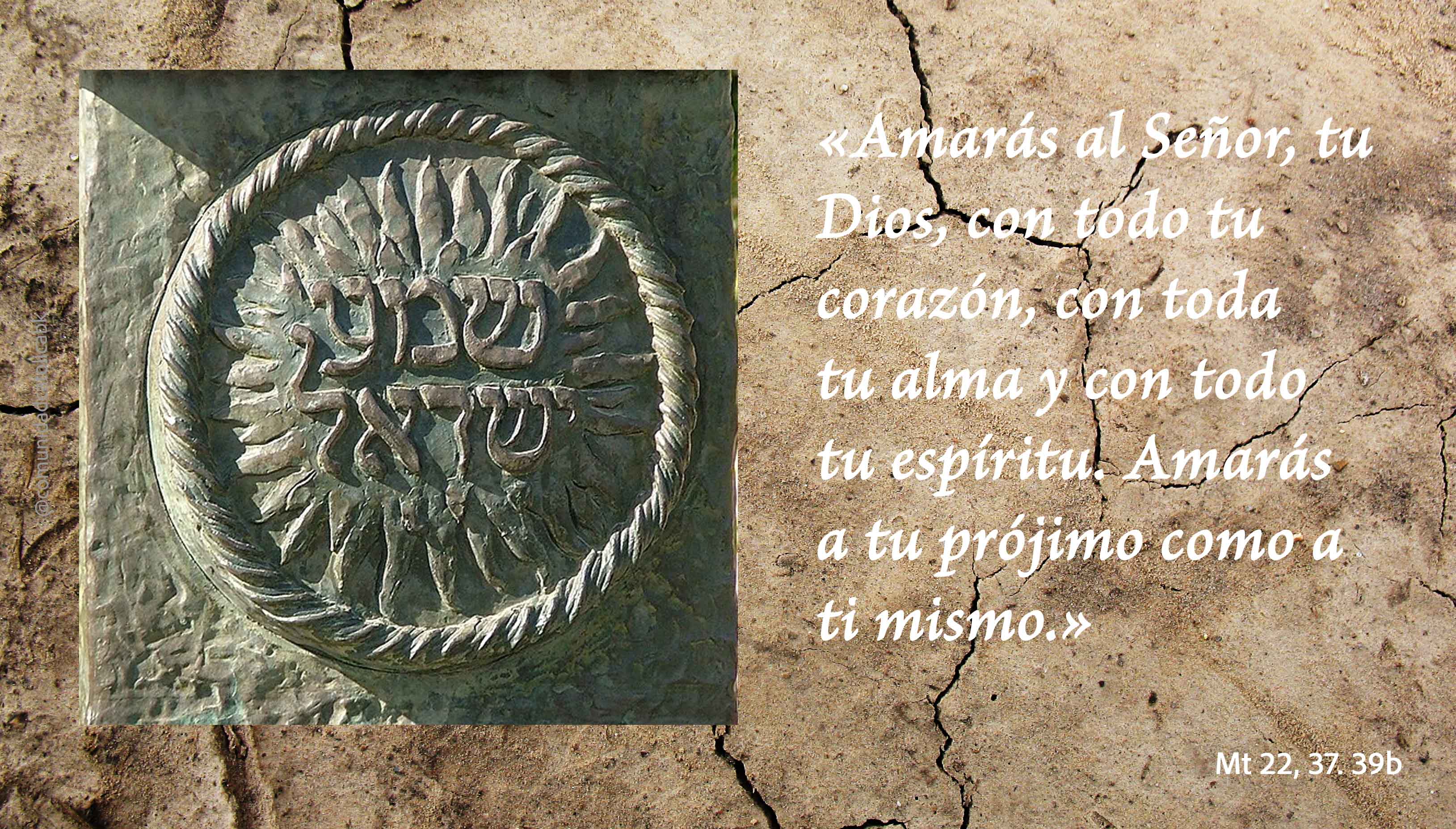 Lecturas del Domingo XXX del Tiempo Ordinario (Ciclo ‘A’, 2026)